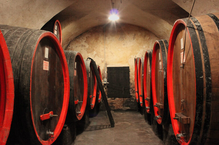 tour-in-cantina-medievale